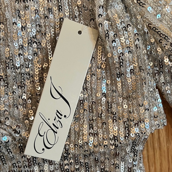 Elijah J Sequin Blouson Sleeve Dress - Picture 12 of 14
